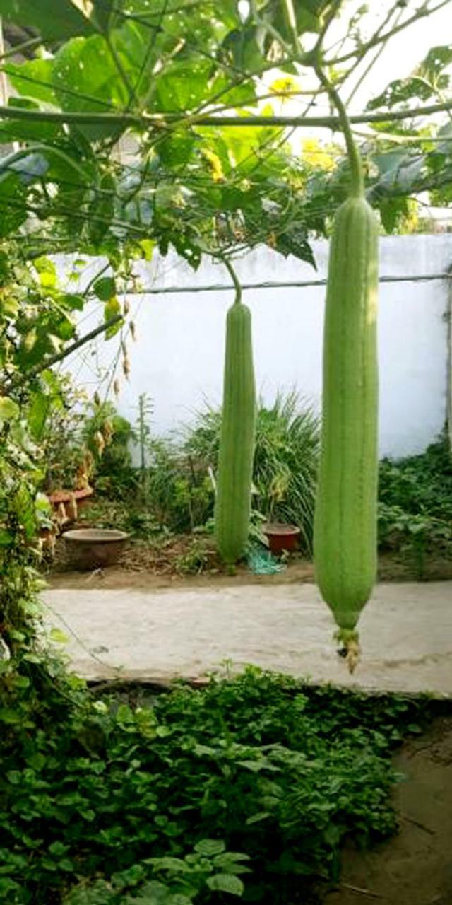 Mekong Farmstay Cantho - C.R Floating Market 껀터 외부 사진